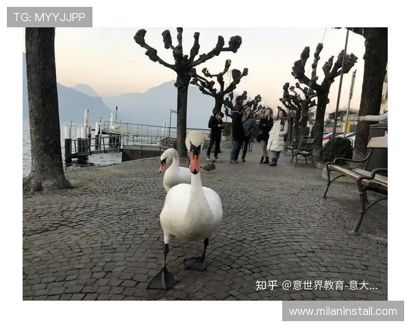 米兰官网集团官网的多语言支持与全球用户服务功能介绍